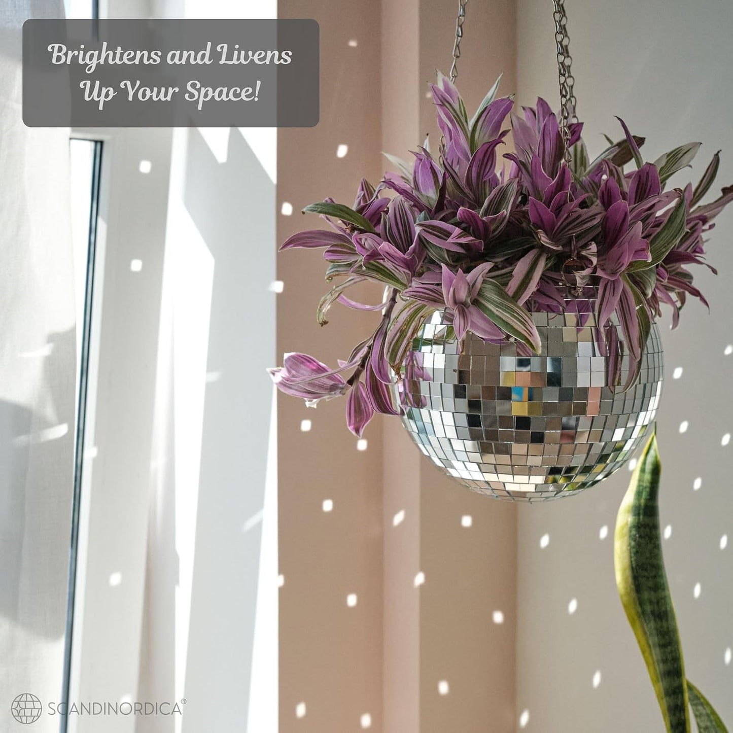 Disco Ball Planter – Value Package: Disco Planter with Chain, Macrame Hanger and Acrylic Stand, Includes Self Watering Insert, Preppy Room Decor, Funky Decor | 8 Inch Silver